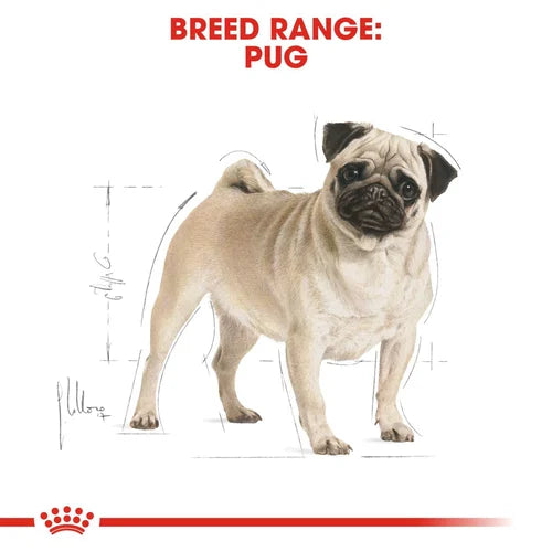 Royal Canin Pug Dog Food