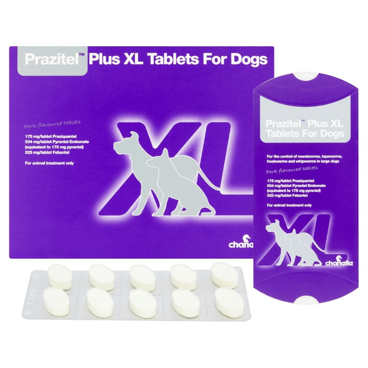 Prazitel Plus XL Worming Tablets For Dogs