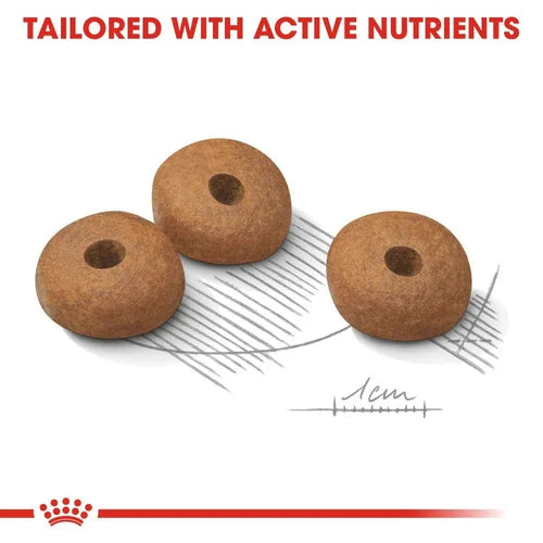 Royal Canin Mini Light Weight Care Dog Food