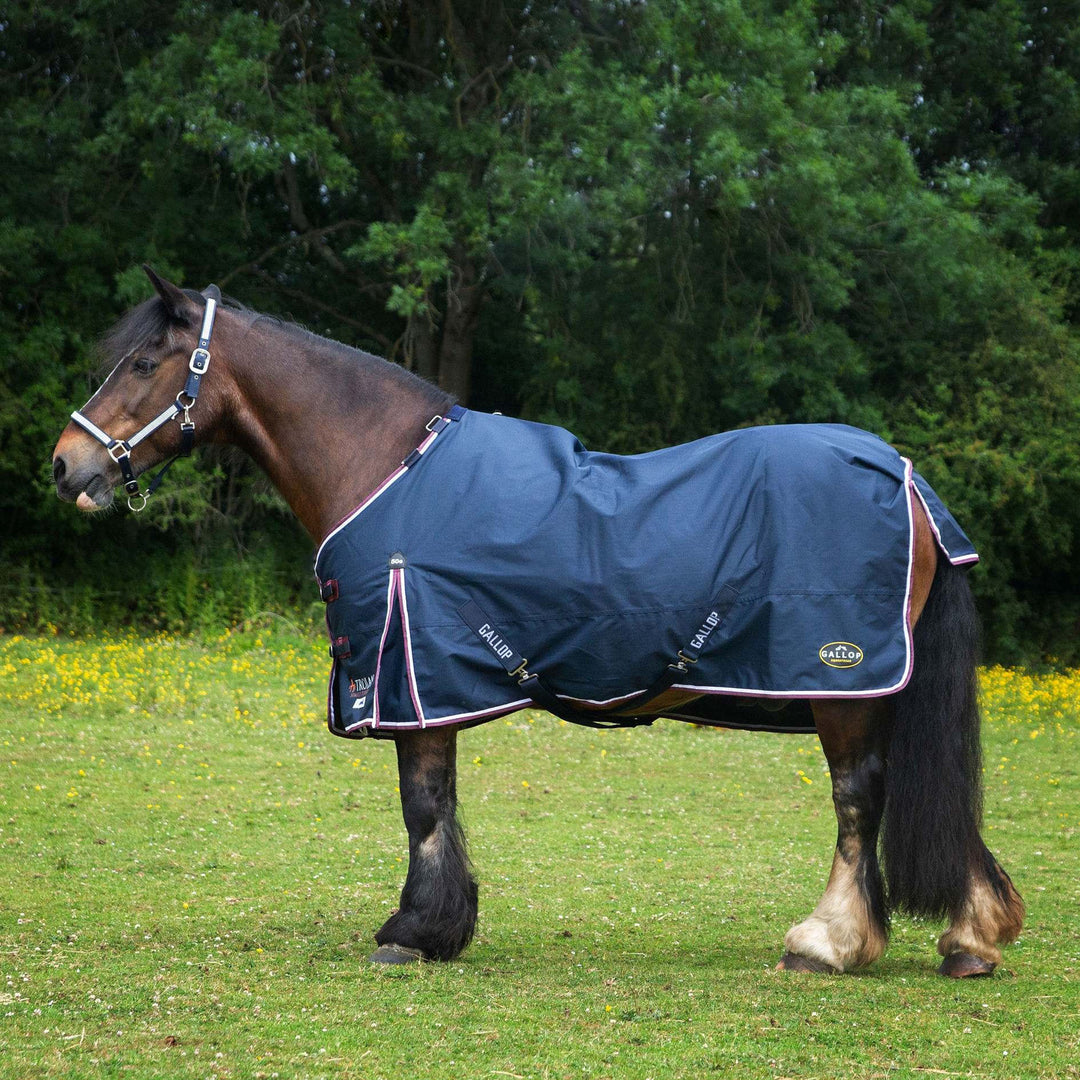 Gallop Trojan 50g Duraproof 5-Point Standard Turnout Rug