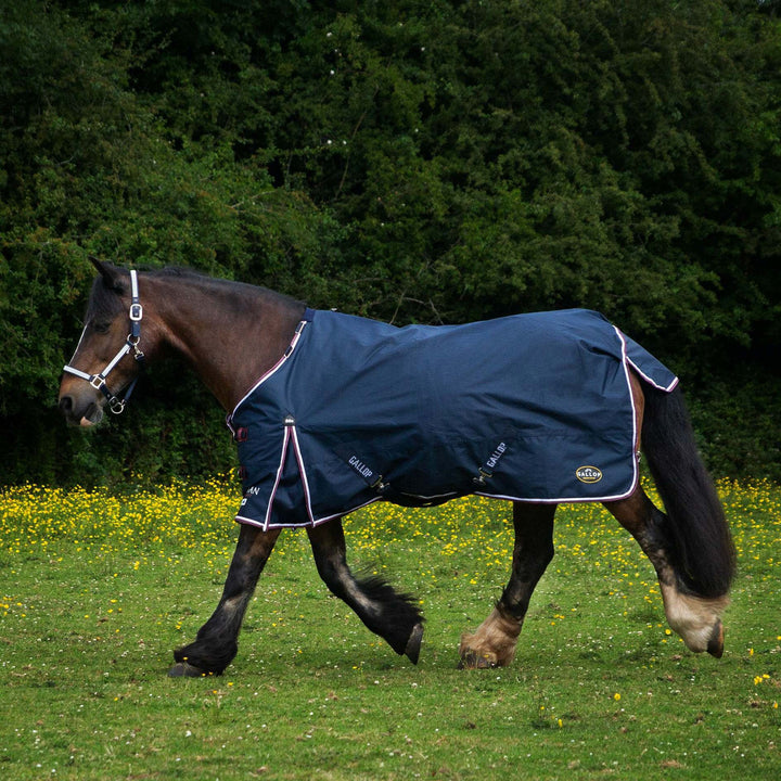 Gallop Trojan 50g Duraproof 5-Point Standard Turnout Rug
