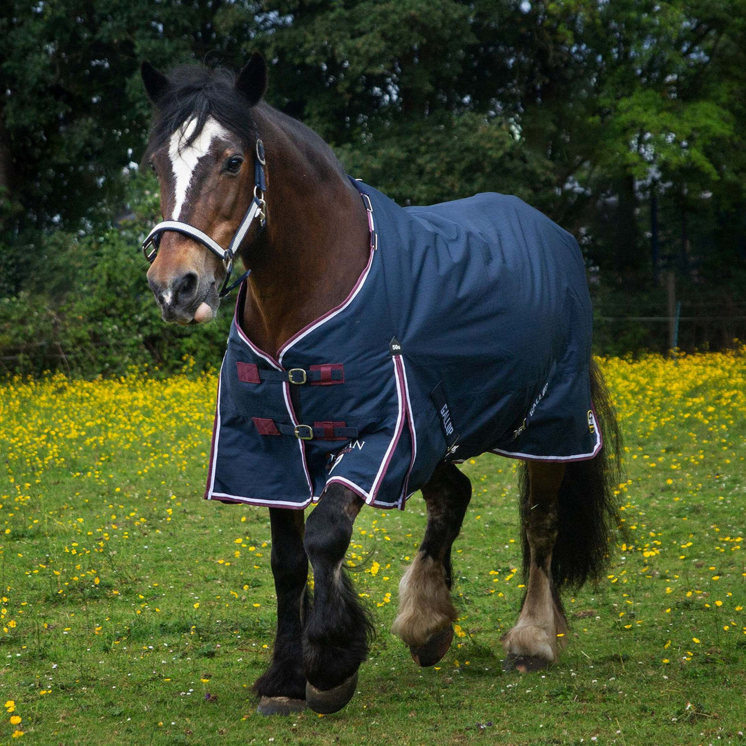 Gallop Trojan 50g Duraproof 5-Point Standard Turnout Rug