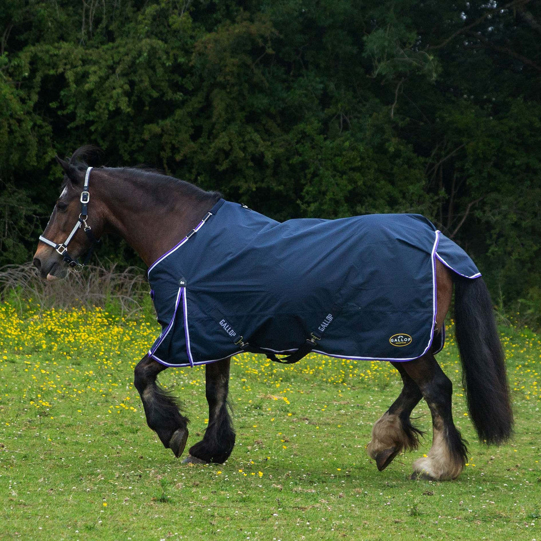 Gallop Trojan 0g Duraproof 5-Point Standard Turnout Rug
