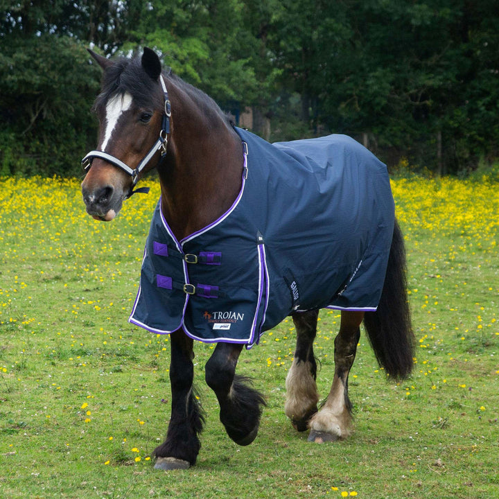 Horse wearing a Gallop rug