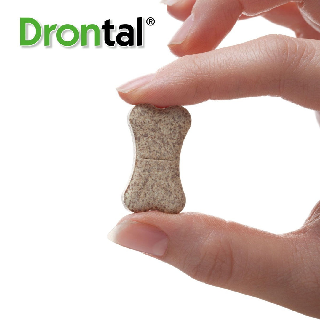 Drontal Plus XL Dog Wormer
