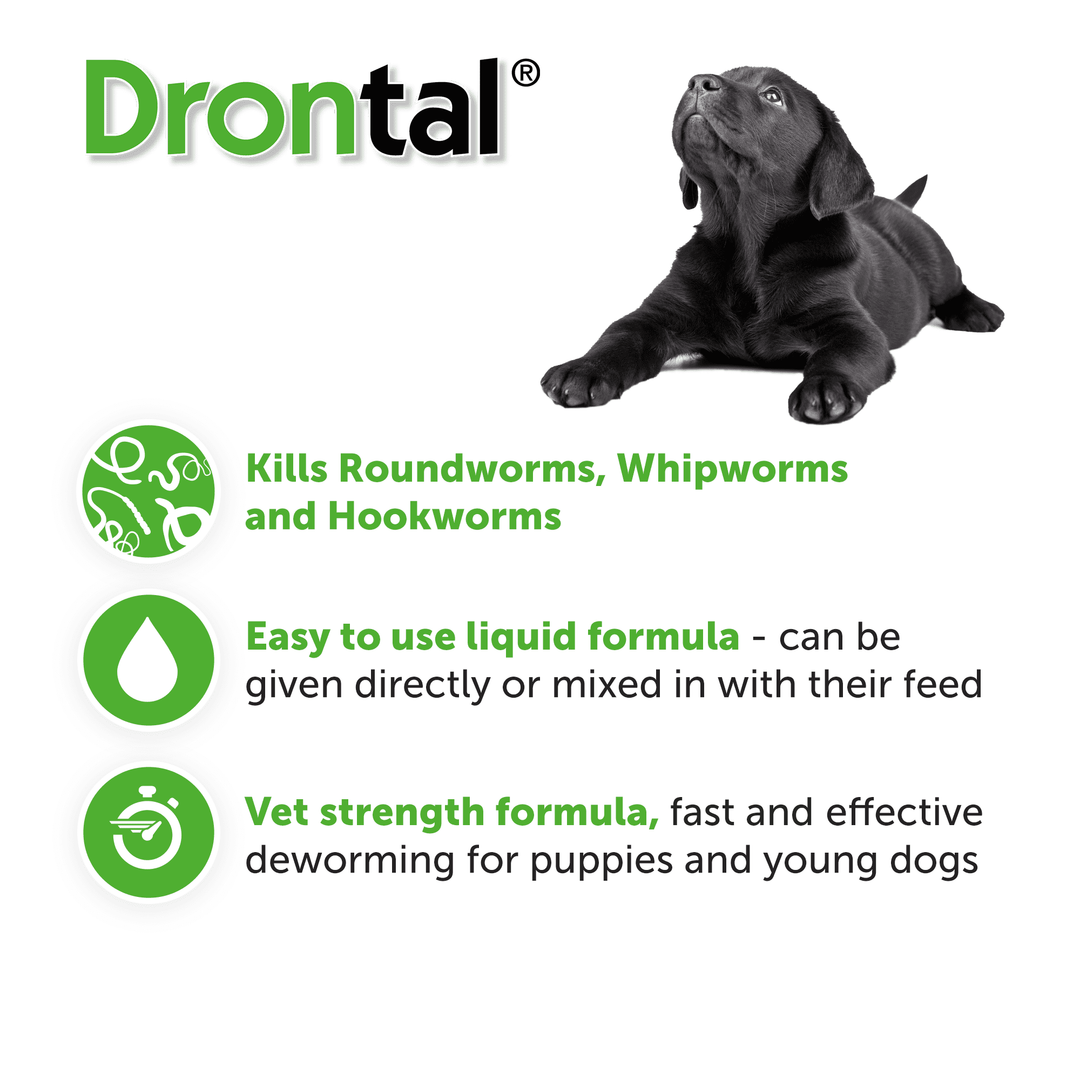 Drontal Oral Suspension for Puppies