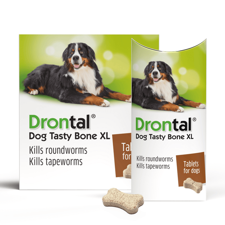 Drontal Plus XL Dog Wormer