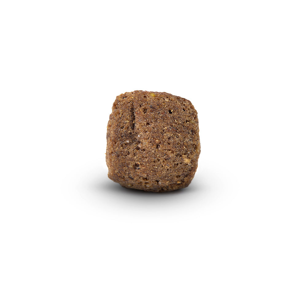 Arden Grange Premium Adult with Chicken & Rice
