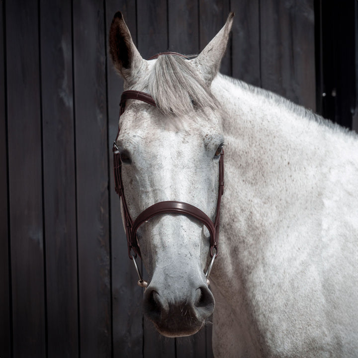 Henry James Saddlery Cavesson Bridle