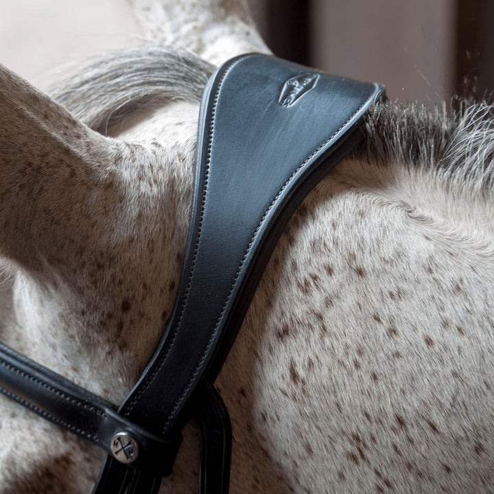 Henry James Saddlery Cavesson Bridle