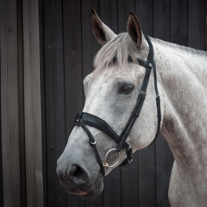 Henry James Saddlery Dressage Bridle With Detachable Flash