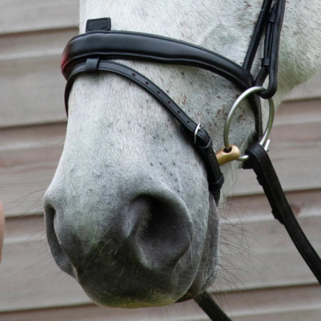 Henry James Saddlery Comfort Flash (Detachable) Bridle