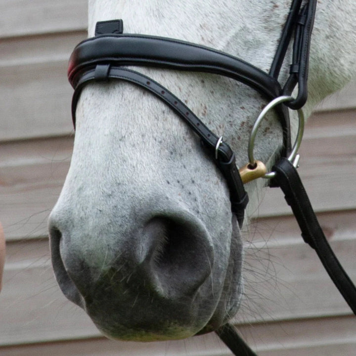 Henry James Saddlery Comfort Flash (Detachable) Bridle