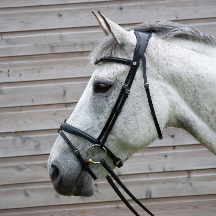 Henry James Saddlery Comfort Flash (Detachable) Bridle