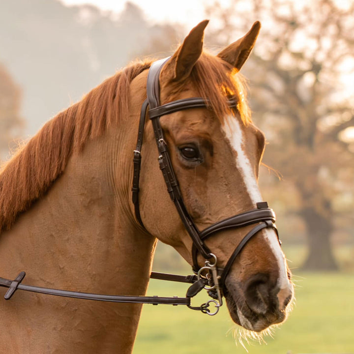Henry James Saddlery Comfort Flash (Detachable) Bridle