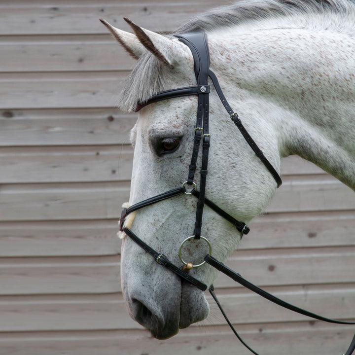 Henry James Saddlery Mexican Grackle Bridle