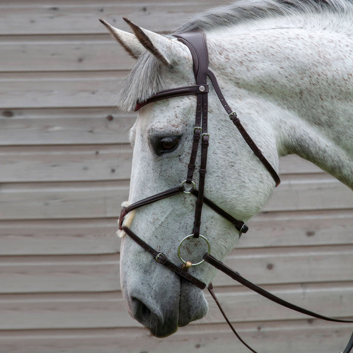 Henry James Saddlery Mexican Grackle Bridle