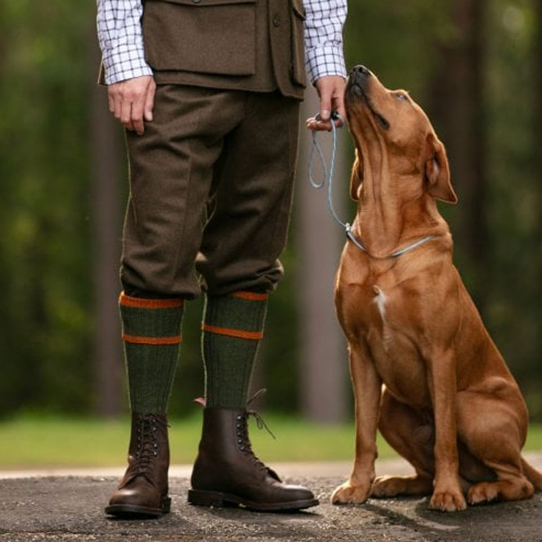 House Of Cheviot Mens Kyle Socks