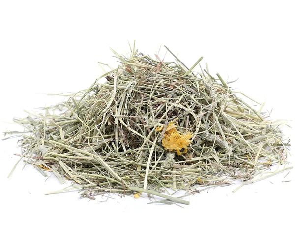 Burgess Excel Feeding Hay with Dandelion & Marigold