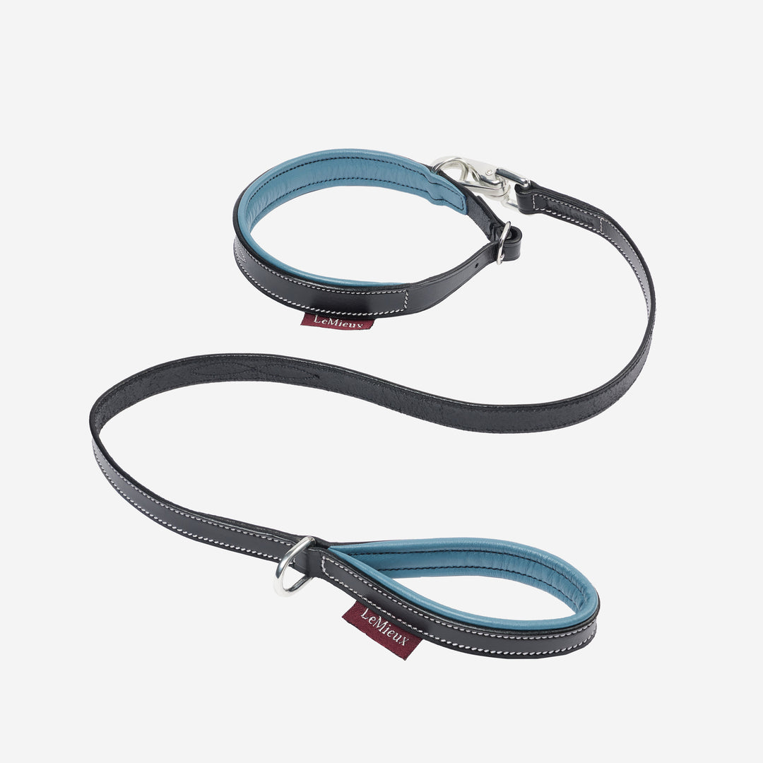 LeMieux Toy Puppy Collar & Lead - Alpine