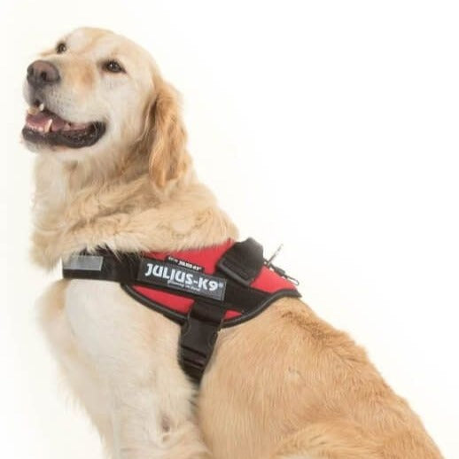 Julius-K9 IDC Powerharness#Red