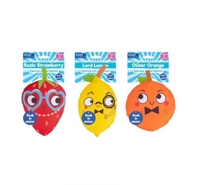 Smart Choice Hydration Plush Dog Toy