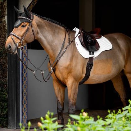 LeMieux ProSorb Plain 2 Pocket GP Square