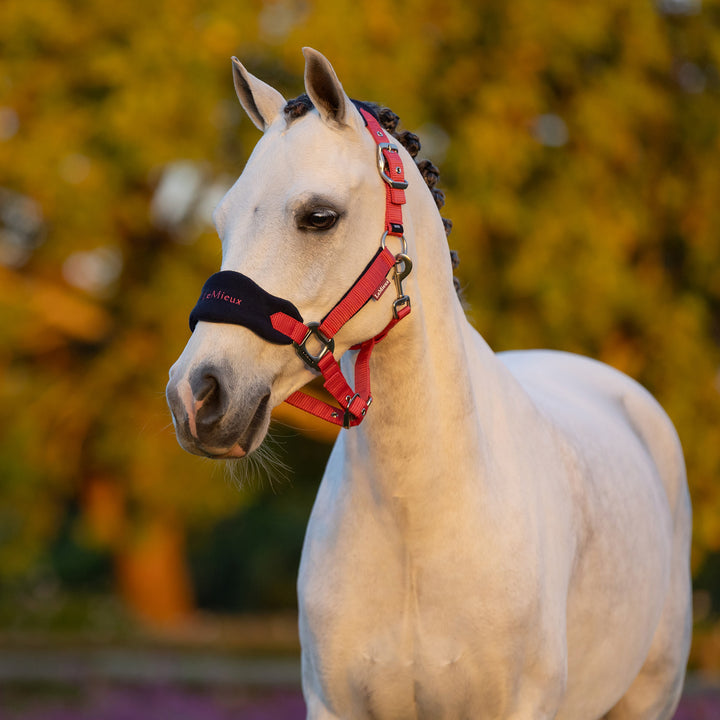 LeMieux Mini Vogue Headcollar & Leadrope - Cranberry