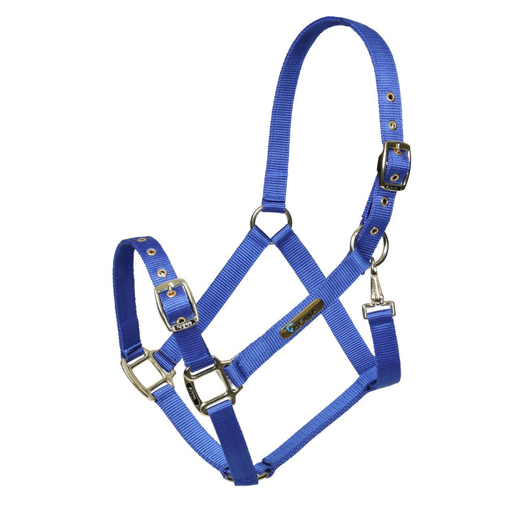 Shires ARMA Adjustable Headcollar#Blue