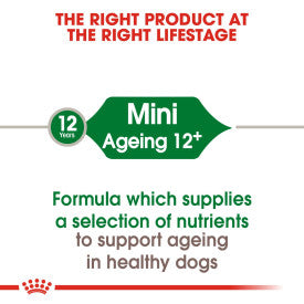 Royal Canin Mini Ageing 12+ Dog Food