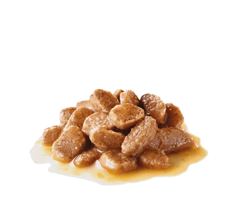 Royal Canin Mini Adult Dog Wet Food
