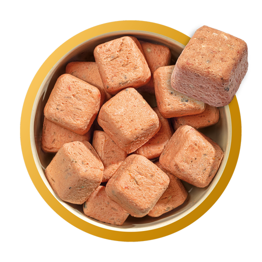 Natures Menu Nuggets 80/20 Puppy Chicken & Salmon With Grain 1kg