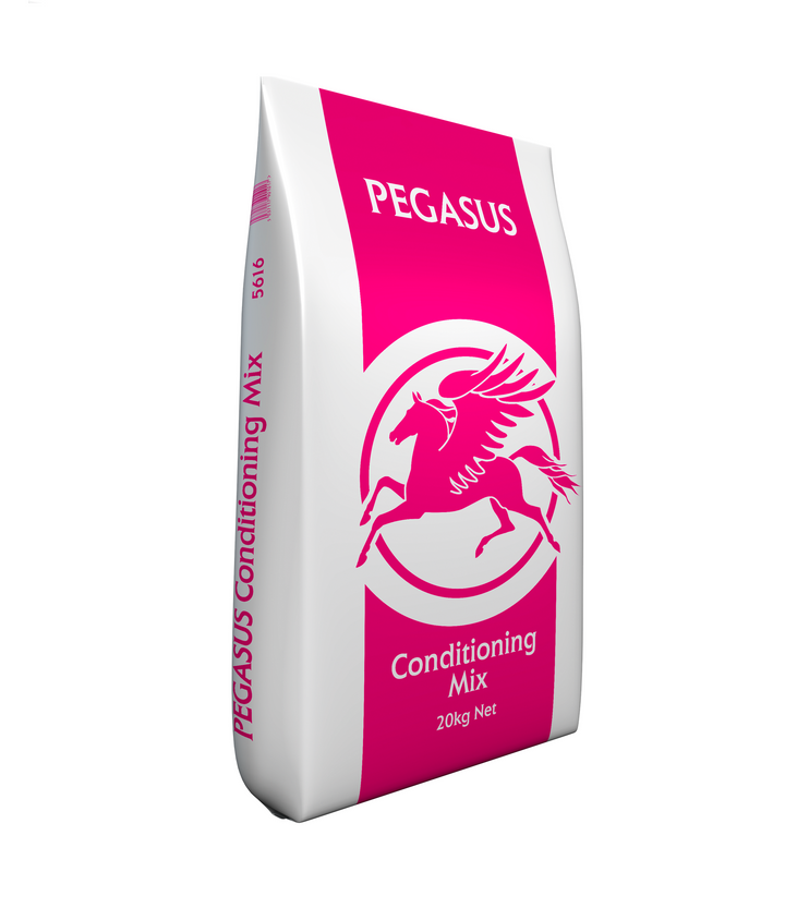 Pegasus Conditioning Mix