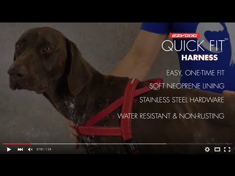 Ezydog Quick Fit Harness for Dogs