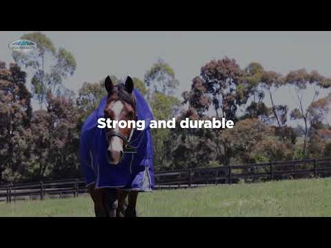 Weatherbeeta Comfitec Classic 220g Standard Neck Turnout Rug