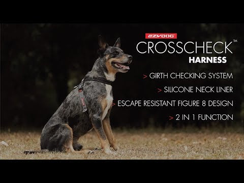 Ezydog Crosscheck Harness