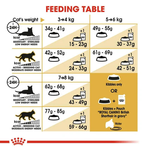 Royal Canin British Shorthair Dry Cat Food