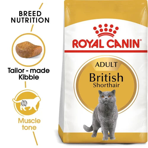 Royal Canin British Shorthair Dry Cat Food