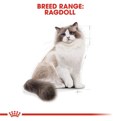 Royal Canin Ragdoll Adult Cat Dry Food