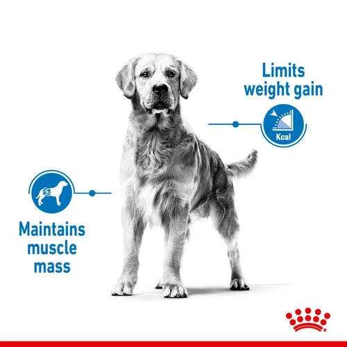 Royal Canin Maxi Light Weight Care Dry Dog Food