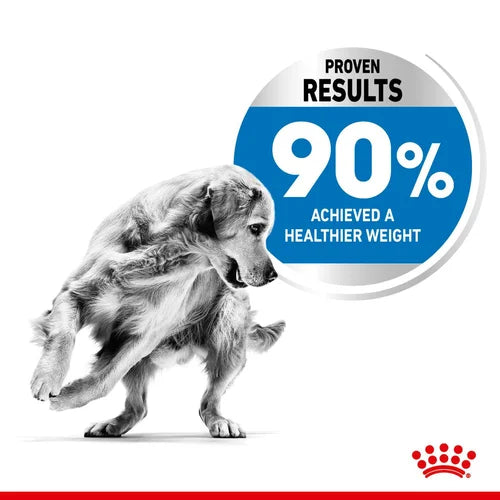 Royal Canin Maxi Light Weight Care Dry Dog Food