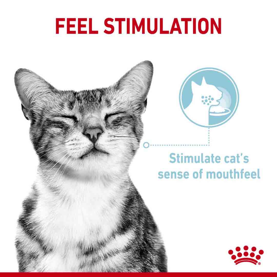 Royal Canin Sensory Feel Morsels In Gravy Wet Pet Food For Cats