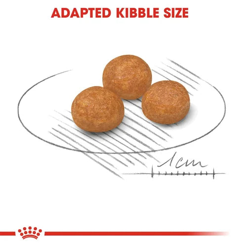 Royal Canin X-Small Adult Dog Food