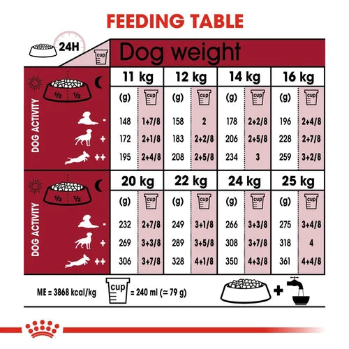 Royal Canin Medium Ageing 10+ Dry Dog Food