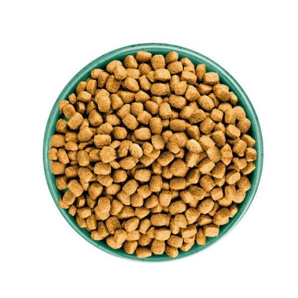 James Wellbeloved Adult Small Breed Fish & Rice Dry Dog Food