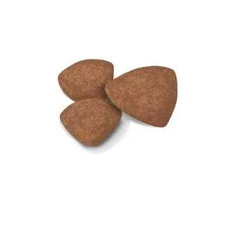 Royal Canin Puppy Mini Dog Food