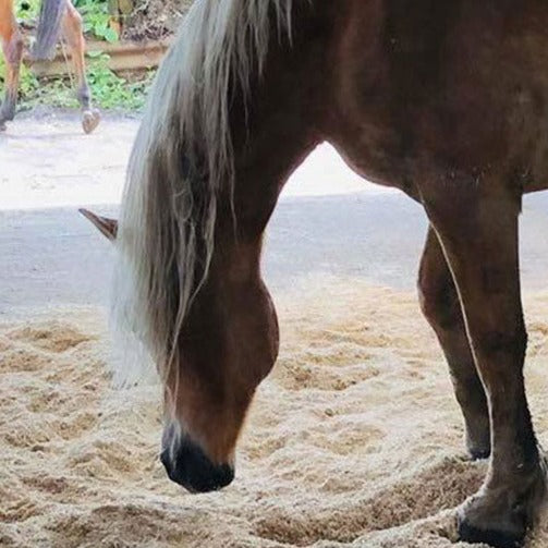 Aubiose Hemp Bedding