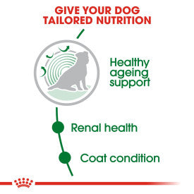 Royal Canin Mini Ageing 12+ Dog Food