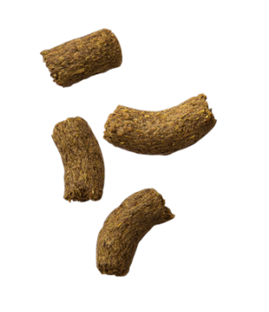 Twitch Guinea Pig Nuggets