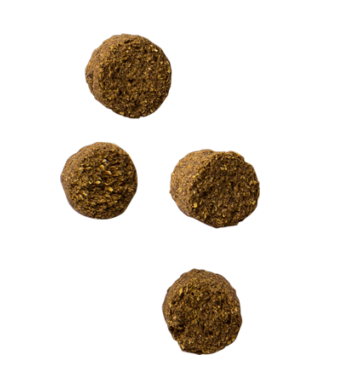 Twitch Rabbit Nuggets